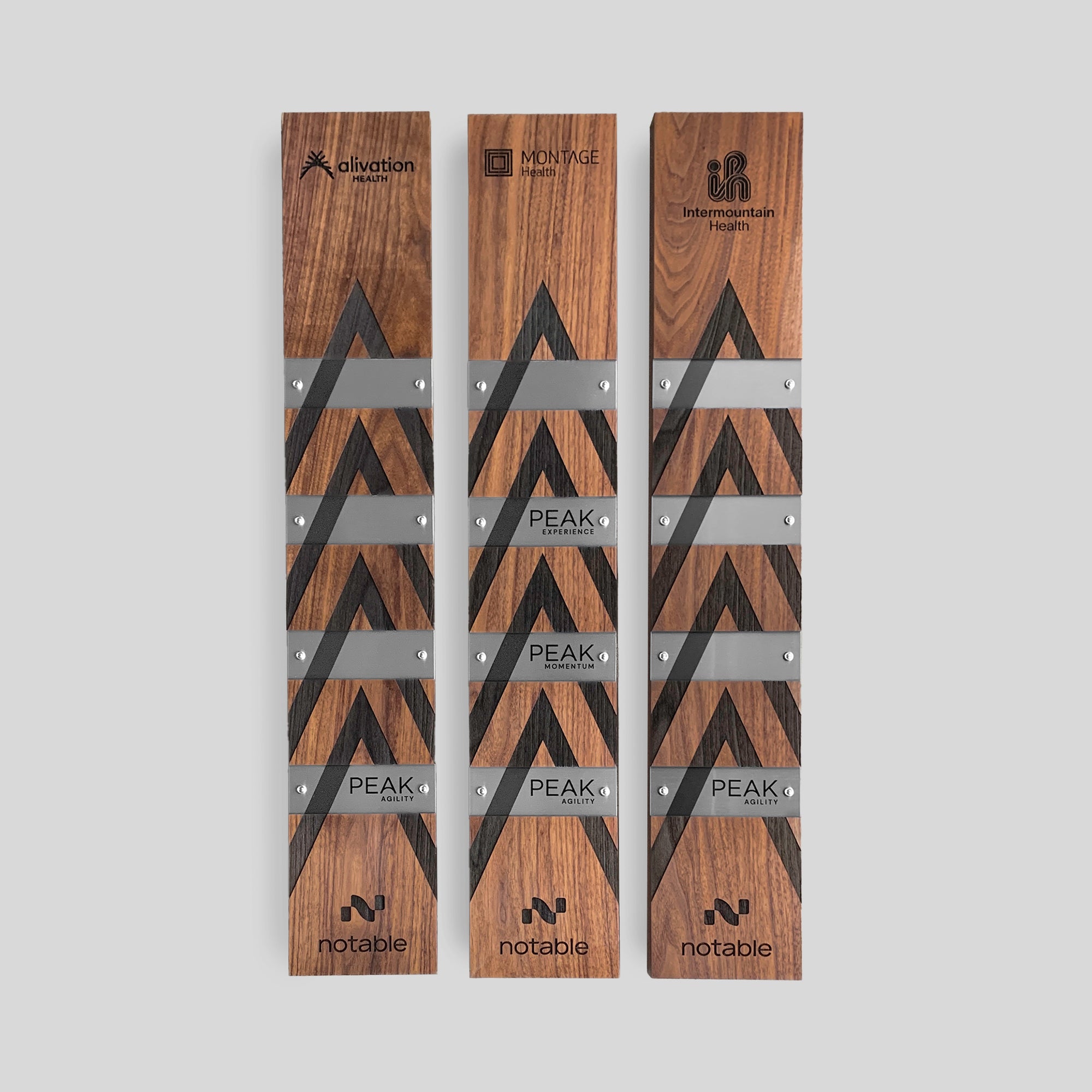 Perpetual Plaques | Walnut, showcasing wooden modules designed as client award plaques, with metal nameplates for perpetual award engraving, designed with custom branding and engraving as modern recognition wall display.