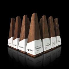 3D geometric wood recognition awards