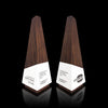 Geometric shaped solid wooden awards