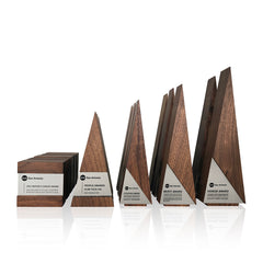Modern architectural design award collections