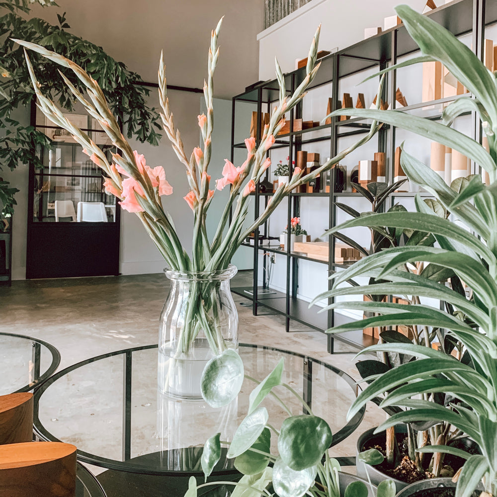 Benefits of a Green Work Space