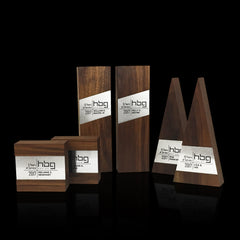 Contemporary Team Employee Recognition Award Trophies