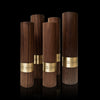 Luxury modern awards for corporate and team recognition