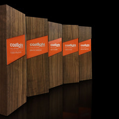 Unique modern corporate recognition awards and gifts in color