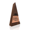 Modern Corporate Recognition Trophy Awards for Carrier