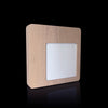 Modern Corporate Personalized Plaque for  Employee Recognition
