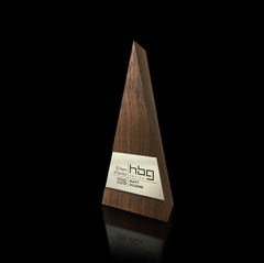 Unique modern executive wood awards 