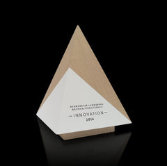 Unique Modern Designer Pyramid Trophy handmade from Wood