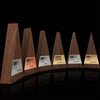unique engraved executive awards for employee recognition