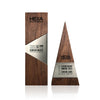 Award for top sales employees