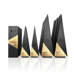 Company brand graphic award suite