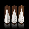 Geometric modern wood award