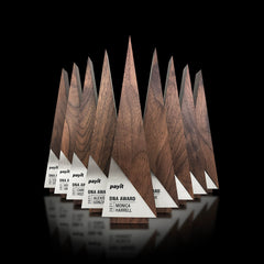 Luxury large triangle shaped award