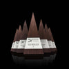 Marketing team recognition award