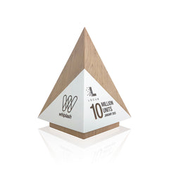 Modern solid wooden awards